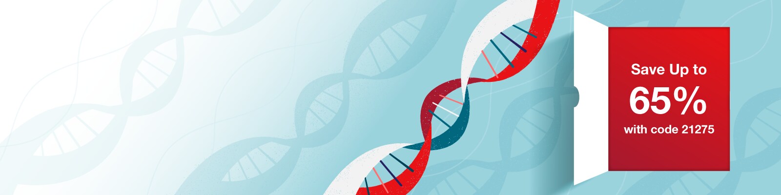 The Structure of DNA banner