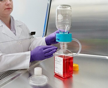 38848_Fisher-image7_M3304-190625-143_370x300 38848_Fisher-image7_M3304-190625-143_370x300