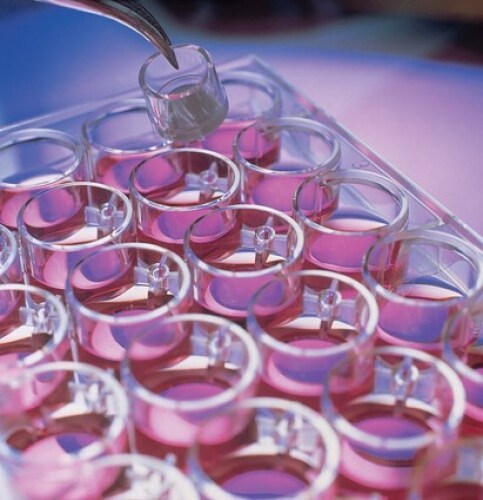 Merck Millipore Millicell™ Culture Plate Merck Millipore Millicell™ Culture Plate