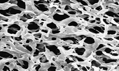 Filter - Membrane Filter - Membrane