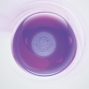 cellculture-basics cellculture-basics