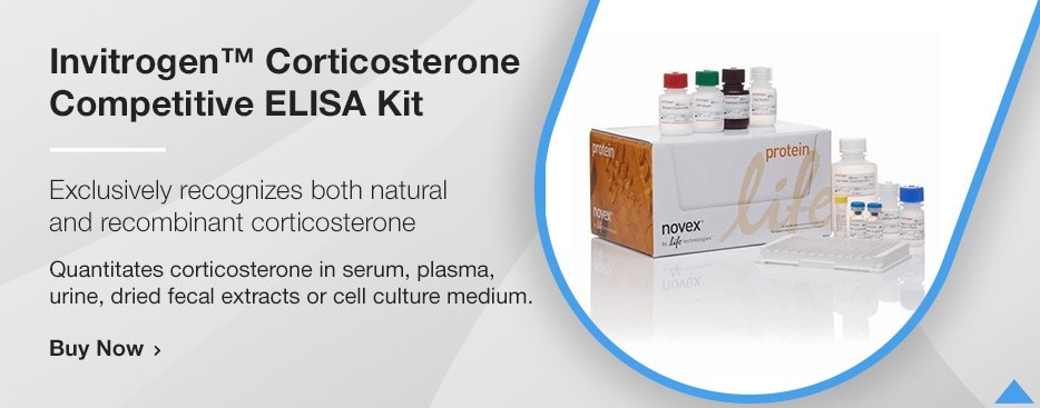 Invitrogen™ Corticosterone Competitive ELISA Kit